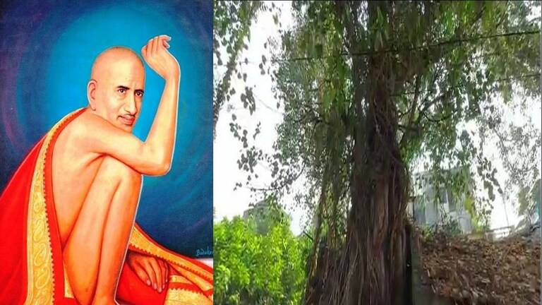 नागपूर : ‘त्या’ झाडाखाली गजानन महाराजांचं वास्तव्य, पिंपळाचं झाड तोडण्यास स्थानिकांचा विरोध वाढला Mumbai Tak