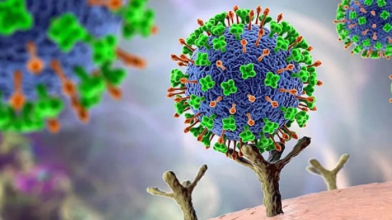 Nipah Virus : निपाह व्हायरसनं वाढवली चिंता; केरळमध्ये 12 वर्षाच्या मुलाचा मृत्यू Mumbai Tak