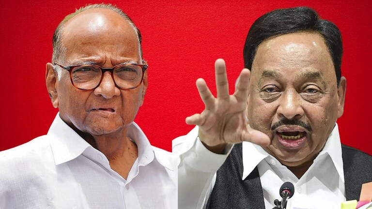 नारायण राणेंचा शरद पवारांना धमकीवजा इशारा; ‘आमदारांच्या केसालाही धक्का लावल्यास…’ Mumbai Tak