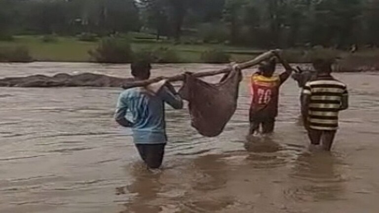 Palghar: जीव टांगणीला! धोकादायक प्रवाहातून वृद्धेला डोली करून रूग्णालयात न्यायची वेळ Mumbai Tak