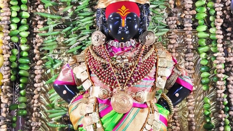 अवघी विठाई माझी…संक्रांतीनिमीत्त विठुरायाला भाजीपाला आणि पतंगाची सजावट Mumbai Tak