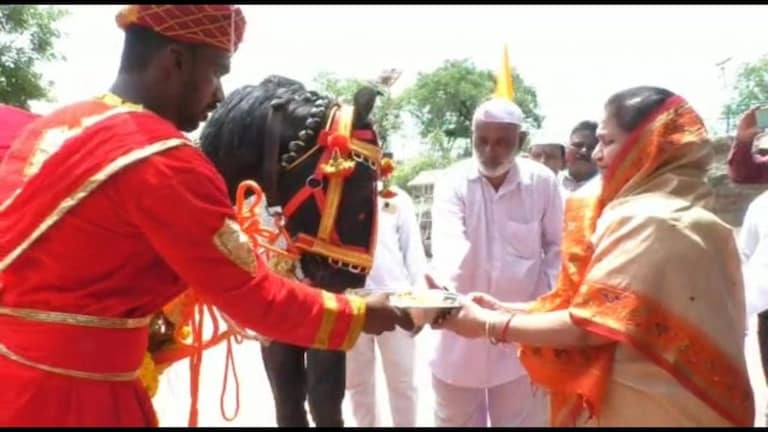 मोहिते पाटलांचा पताकाधारी अश्व बलराज आषाढी वारीच्या प्रस्थानासाठी रवाना Mumbai Tak