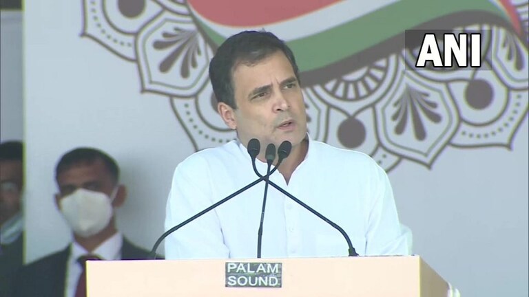 महात्मा गांधी हिंदू होते आणि गोडसे हिंदुत्ववादी; राहुल गांधींचं भाजप-संघावर टीकास्त्र Mumbai Tak