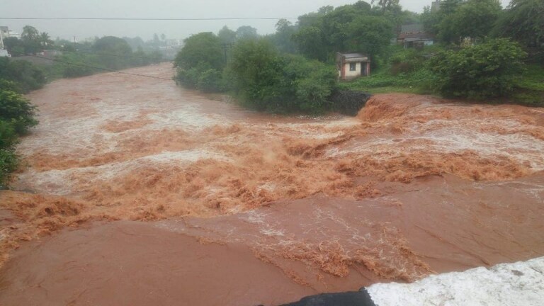 Monsoon 2022: मुंबईत पावसाच्या सरी, आभाळ दाटलं आणि ट्विटरवर उत्साहाला उधाण Mumbai Tak