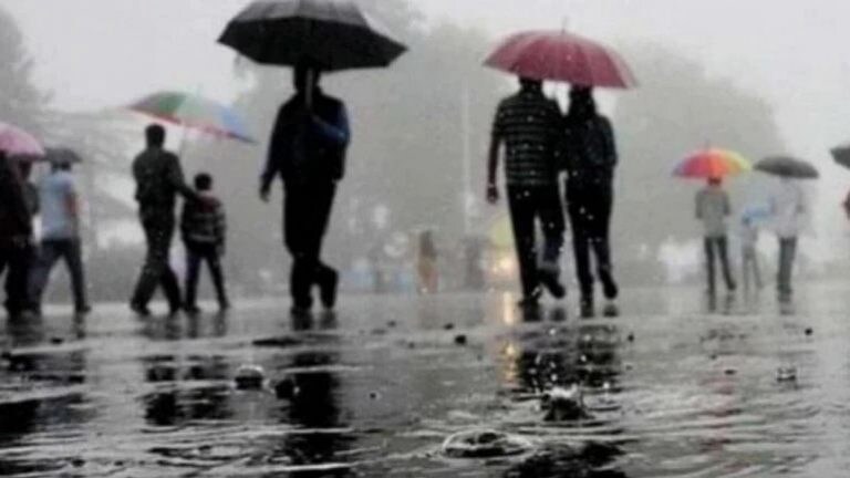 Maharashtra Rain: पालघर, पुणे आणि साताऱ्यात ऑरेंज अलर्ट, पावसामुळे आत्तापर्यंत ९९ जणांचा मृत्यू Mumbai Tak