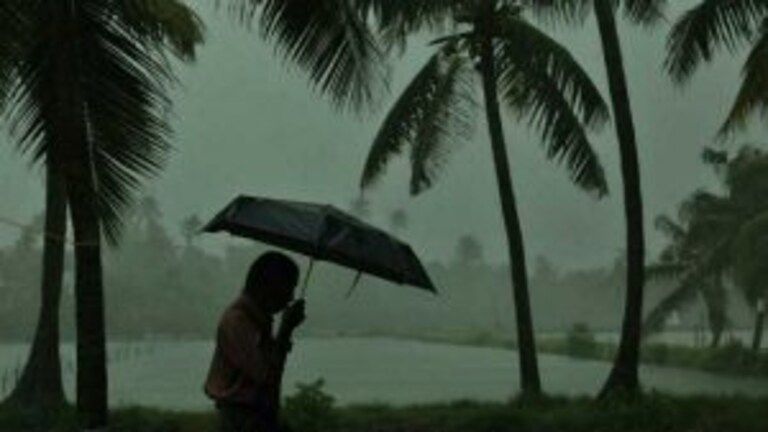 Monsoon News : पुढील ४८ तासात वाढणार वेग, जूनच्या पहिल्या आठवड्यात केरळमध्ये दाखल होणार Mumbai Tak