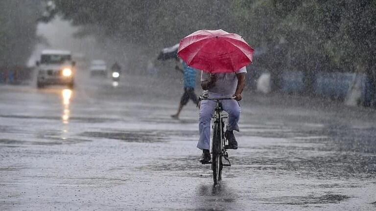 Rain Updates : मुंबईसह राज्यात आज-उद्या मुसळधार; हवामान विभागाचा इशारा Mumbai Tak