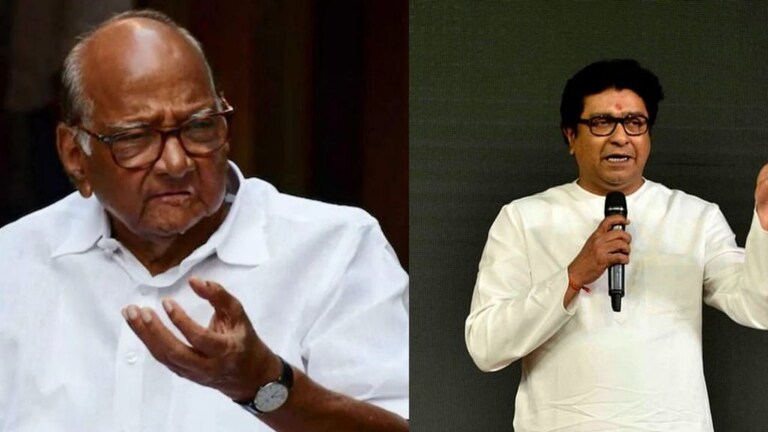 शरद पवार आणि राज ठाकरेंचं एकमत… पण कोणत्या गोष्टीवर? Mumbai Tak