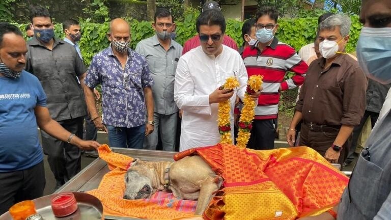 राज ठाकरेंचा लाडका श्वान ‘जेम्स’चं निधन Mumbai Tak