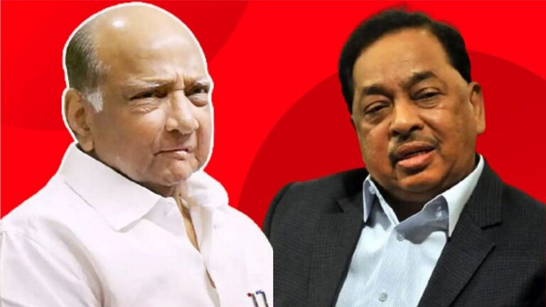 शरद पवार कधीच तोडगा काढत नाहीत, खेळवत ठेवतात: नारायण राणे Mumbai Tak
