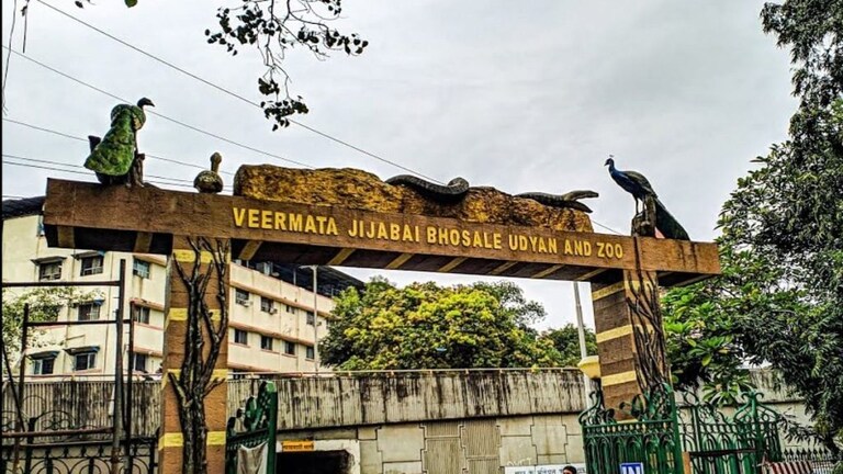 पर्यटकांसाठी आनंदाची बातमी ! राणीची बाग १ नोव्हेंबरपासून खुली होणार Mumbai Tak