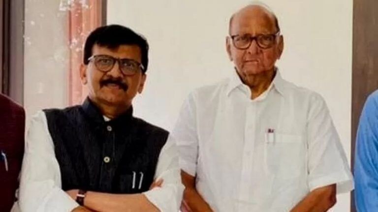 PMLA Court: संजय राऊत प्रकरणात ईडीने भीतीचं वातावरण कसं निर्माण केलं? शरद पवारांचं नाव घेत न्यायालयाने काय म्हटलं? Mumbai Tak