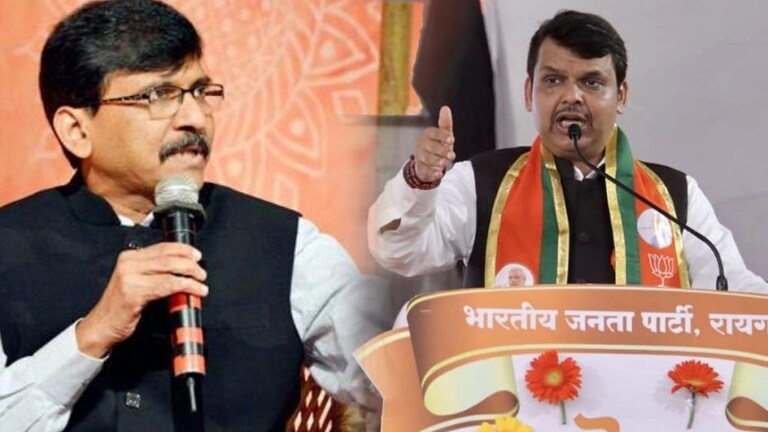 विधानसभेत पंतप्रधान मोदींची नक्कल; संजय राऊतांनी फडणवीसांना दिलं उत्तर Mumbai Tak