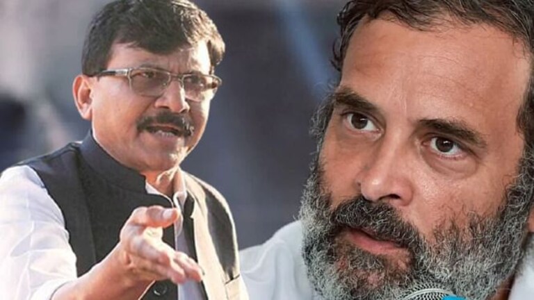 तुरूंगाची कल्पना नसलेले सावरकरांच्या सुटकेवर बोलतात तेव्हा…, संजय राऊतांनी राहुल गांधींना सुनावलं Mumbai Tak