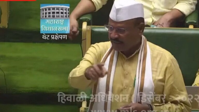 गायरान जमीन वाटप : सत्तारांनी सोडलं मौन, विरोधकांना सांगितलं प्रकरण Mumbai Tak