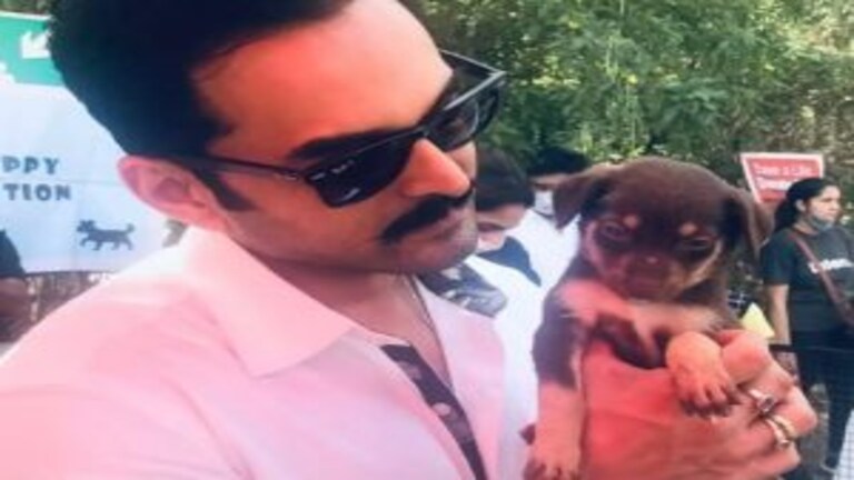 भटक्या प्राण्यांसाठी सौरभ गोखलेचा स्तुत्य उपक्रम Mumbai Tak