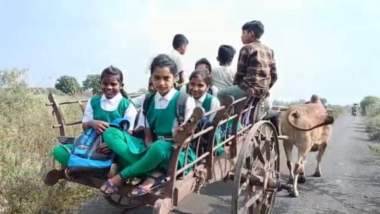 कधी पायपीट तर कधी बैलगाडीने गाठावी लागतेय शाळा, ‘या’ गावातल्या मुलांना एसटी संपाचा फटका Mumbai Tak
