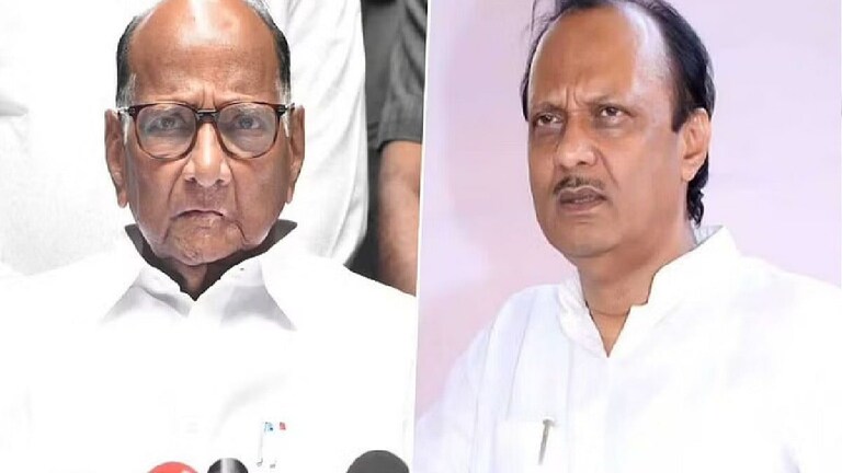 Sharad Pawar : ”एकनाथ शिंदेंच्या बंडामागे भाजपच, अजित पवारांना माहित नाही” Mumbai Tak