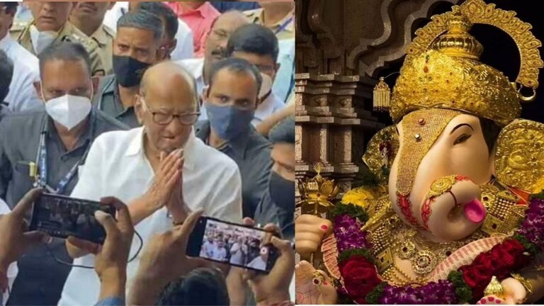 शरद पवारांनी मंदिरात जाऊन का घेतलं नाही दगडूशेठ हलवाई गणपतीचं दर्शन? Mumbai Tak