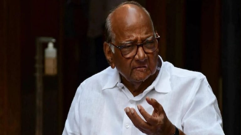 पाठीत खंजीर खुपसण्याच्या ‘त्या’ आरोपाबाबत शरद पवार म्हणतात… Mumbai Tak