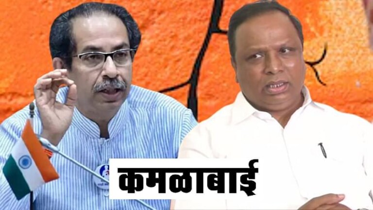 आशिष शेलारांचा इशारा, उद्धव ठाकरेंनी पुन्हा डिवचलं; ‘कमळबाई’वरून वाद वाढणार? Mumbai Tak