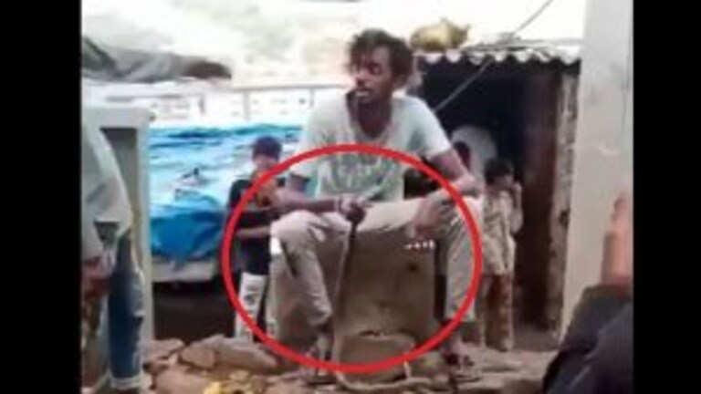 Thane: विषारी सापाशी खेळ, युवकाने गमावले प्राण; घटना मोबाईलमध्ये कैद Mumbai Tak