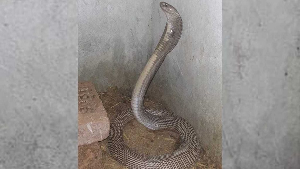 mumbaitak