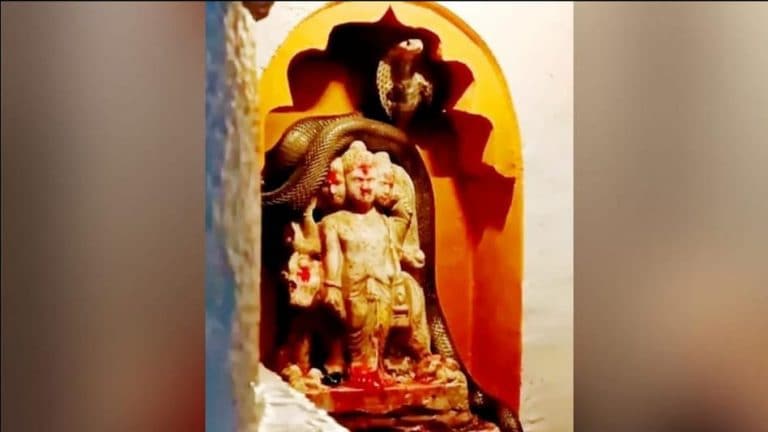 Pune: दत्ताच्या मूर्तीवर नाग विराजमान, VIDEO व्हायरल Mumbai Tak