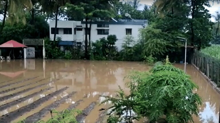 Satara चे खासदार श्रीनिवास पाटील यांच्या घरात घुसलं पाणी, मुसळधार पावसाने हाहाकार Mumbai Tak