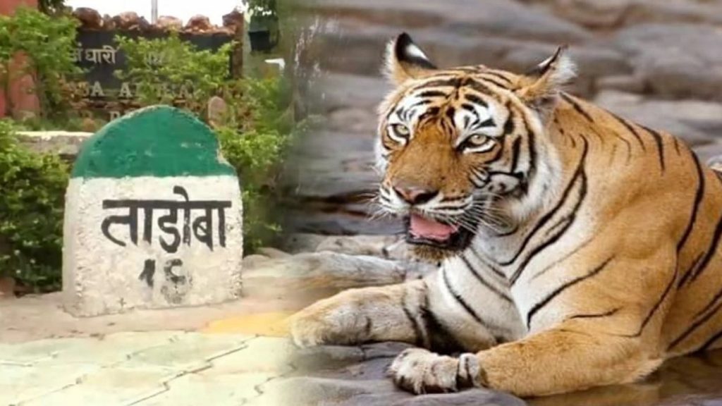 Mumbai Tak