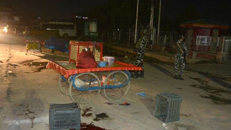 काश्मिरात दहशतवाद्यांचा हैदोस! पाणीपुरीवाल्यासह कारपेंटरची गोळ्या घालून हत्या Mumbai Tak