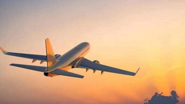 दरवर्षी सव्वा लाख लोक सोडताहेत भारताचं नागरिकत्व; पाकिस्तानात जाणाऱ्यांची संख्या किती? Mumbai Tak