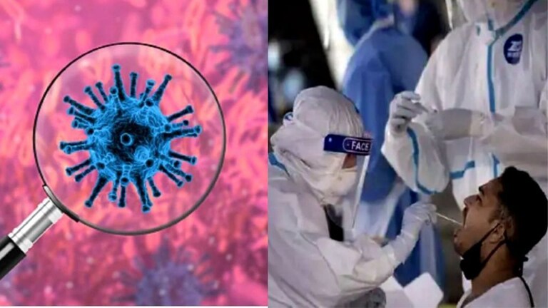 ही तर फक्त सुरुवात आहे…अनिल देशमुखांच्या राजीनाम्यानंतर कंगना राणौतचा राज्य सरकारवर निशाणा Mumbai Tak