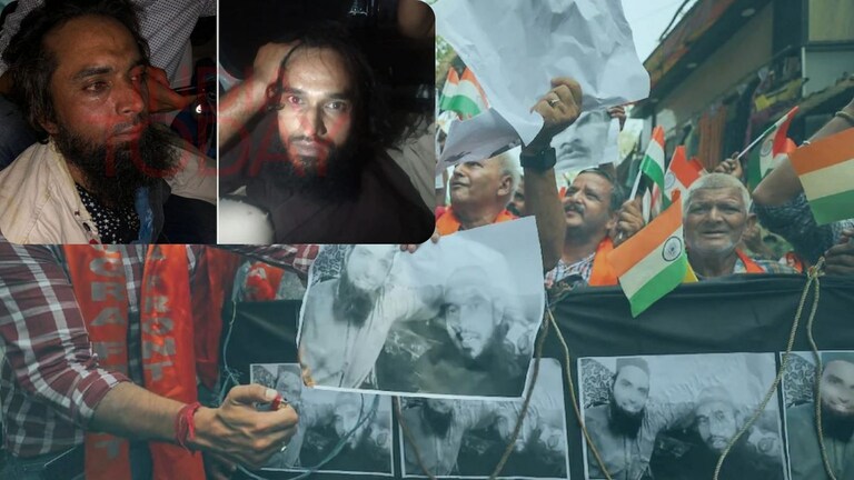 ऋषभ पंतचे दुधाचे दात अन् दिनेश कार्तिककचे पदार्पण; नक्की काय आहे कनेक्शन? Mumbai Tak