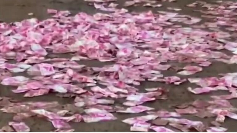 Video : वसईत दोन हजाराच्या नोटांचा पाऊस? नोटा गोळा करायला स्थानिकांची रस्त्यावर गर्दी Mumbai Tak