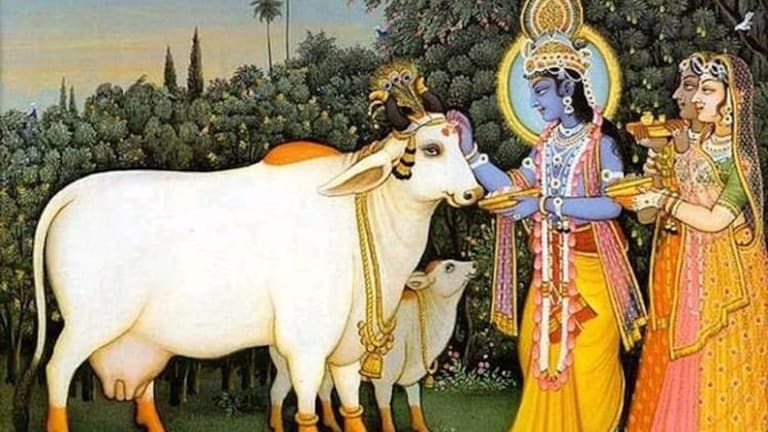 Vasubaras 2021 : आज वसुबारस! जाणून घ्या पूजेचा विधी आणि काय आहे महत्त्व? Mumbai Tak