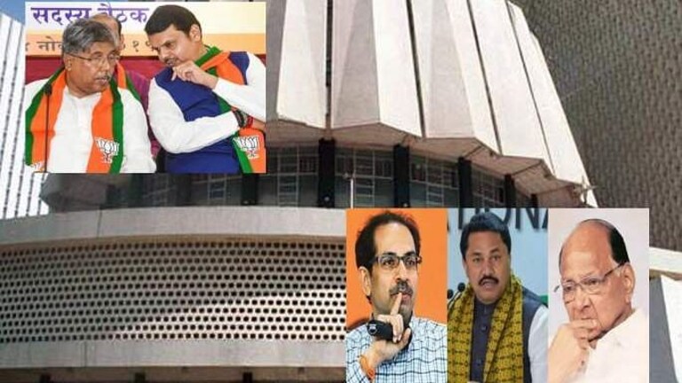 Vidhan Parishad Election: भाजपने १३४ मतं नेमकी कशी मिळवली? कुणाची किती मतं फुटली? Mumbai Tak