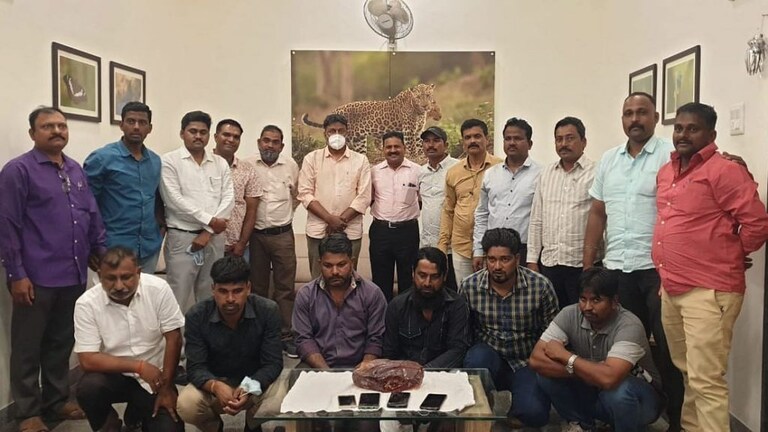 व्हेल माशाच्या उलटीची विक्री करणाऱ्या सांगलीच्या टोळीतल्या सहा जणांना कोल्हापुरात अटक Mumbai Tak