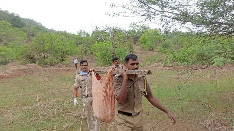 कडक सॅल्यूट! 4 किमीचा घाट तुडवून पोलिसांनी तिला वाचवलं Mumbai Tak