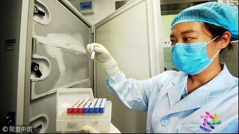 Wuhan Lab मध्येच Corona व्हायरस तयार केला, वटवाघूळ तर एक बहाणा आहे: संशोधन Mumbai Tak