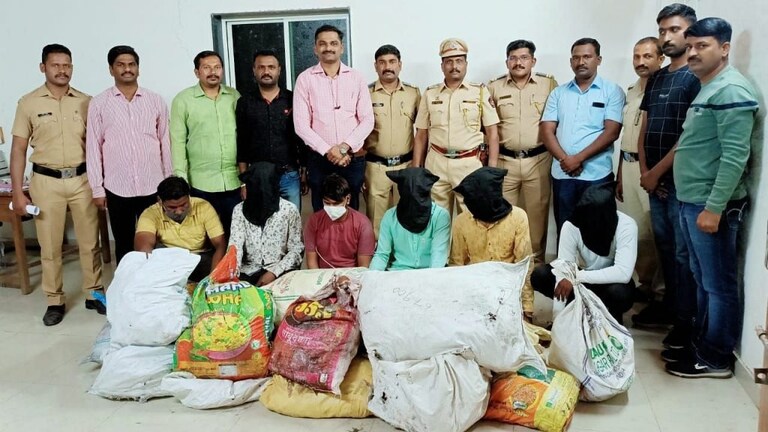 पुणे : ट्रान्सफार्मरमधील तांब्याच्या तारा चोरणाऱ्या टोळीचा पर्दाफाश, ७ लाखांचा मुद्देमाल जप्त Mumbai Tak