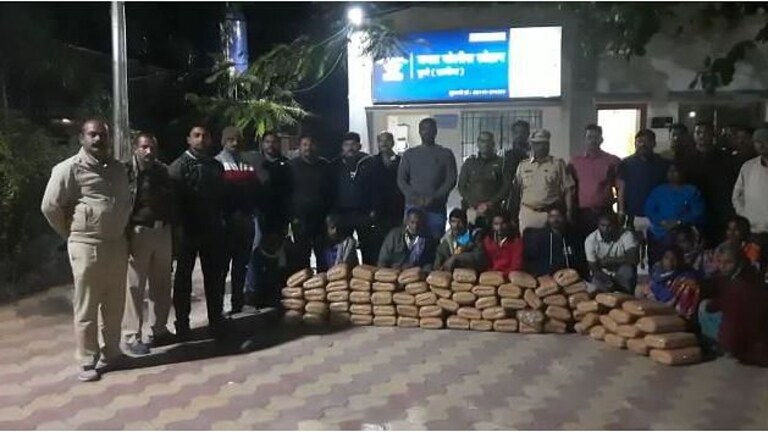 परराज्यातून विक्रीसाठी आलेला ५० लाखांचा गांजा जप्त, पुणे-सोलापूर महामार्गावर पोलिसांची कारवाई Mumbai Tak