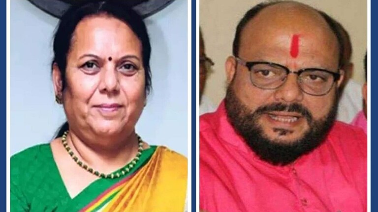 “मंत्री तुम्ही तुमच्या घरी”, नीलम गोऱ्हे यांनी गुलाबराव पाटील यांना भर सभागृहात का सुनावलं? Mumbai Tak