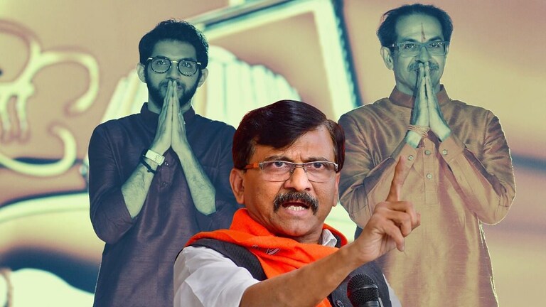 ‘हर हर महादेव’ चित्रपटावरुन राष्ट्रवादी-मनसे भिडले : ठाण्याच्या मॉलमध्ये तुफान राडा Mumbai Tak