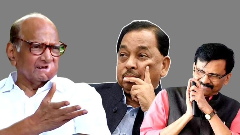 राणे vs राऊत संघर्ष : शरद पवारांनी नारायण राणेंना फटकारलं, काय बोलले? Mumbai Tak