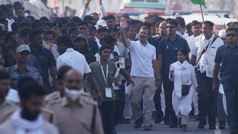 Bharat Jodo Yatra महाराष्ट्रातच थांबवा; गटनेते राहुल शेवाळेंची शिंदे-फडणवीसांकडे मागणी Mumbai Tak