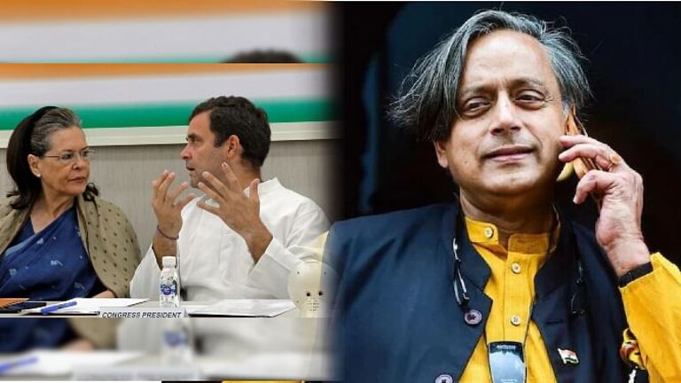 Congress President Election : शशी थरूर यांना अध्यक्षपदाची निवडणूक लढवायची आहे? Mumbai Tak