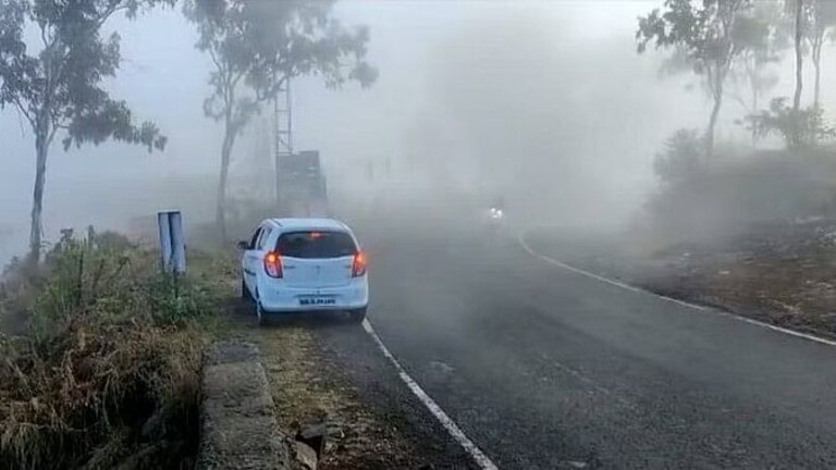 Mahabaleshwar: दवबिंदू झाले हिमकण! फिरण्याचा प्लान असेल, तर ‘इथे’ जा Mumbai Tak