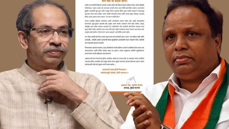 ‘मग घ्या ना धौतीयोग!’ म्हणत सामनातल्या अग्रलेखानंतर शेलारांचा उद्धव ठाकरेंना ‘डोस’ Mumbai Tak