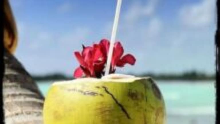 Coconut Water: नारळ पाणी पिणाऱ्यांनी आरोग्याशी निगडीत ‘या’ महत्त्वाच्या गोष्टी घ्या लक्ष्यात… Mumbai Tak